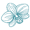 ORQUI