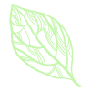 hoja-100