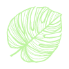 hoja-200
