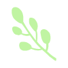 hoja500